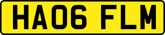 HA06FLM