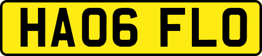 HA06FLO