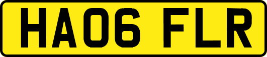 HA06FLR