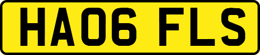 HA06FLS