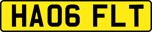 HA06FLT