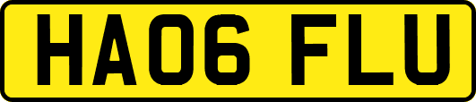 HA06FLU