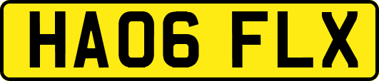 HA06FLX