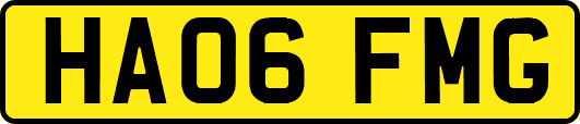 HA06FMG
