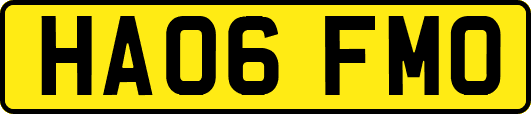 HA06FMO