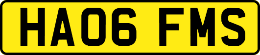 HA06FMS