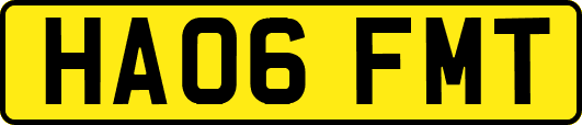 HA06FMT