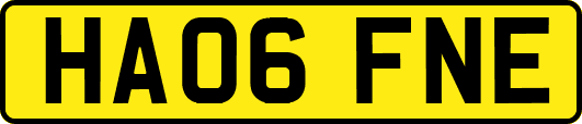 HA06FNE