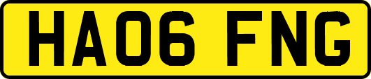HA06FNG