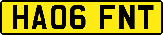 HA06FNT