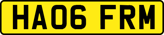 HA06FRM