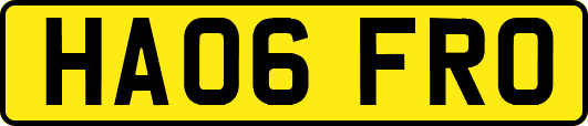 HA06FRO