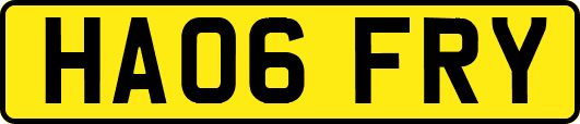 HA06FRY