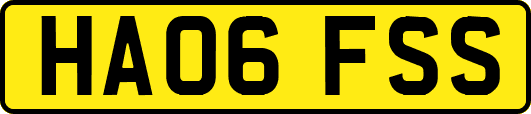 HA06FSS