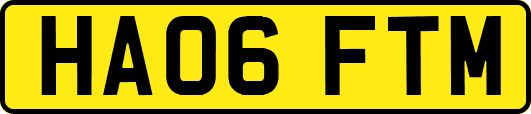 HA06FTM