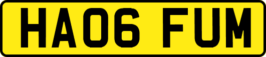 HA06FUM