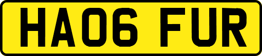 HA06FUR