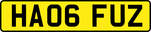 HA06FUZ