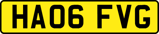 HA06FVG