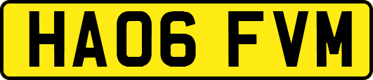 HA06FVM