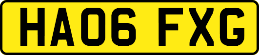 HA06FXG