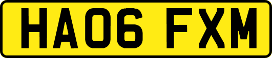 HA06FXM