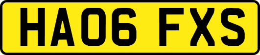 HA06FXS