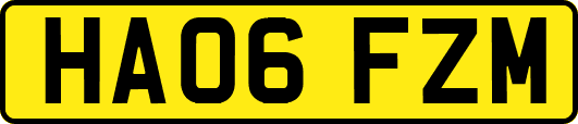 HA06FZM