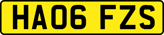 HA06FZS