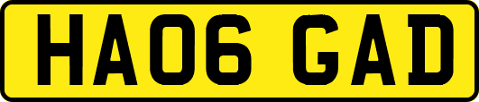 HA06GAD