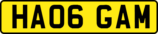 HA06GAM