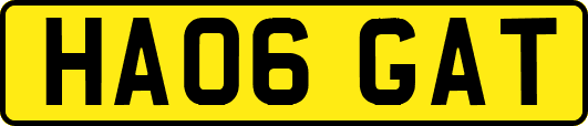 HA06GAT