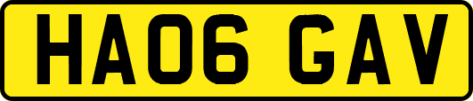 HA06GAV