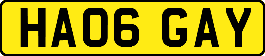 HA06GAY