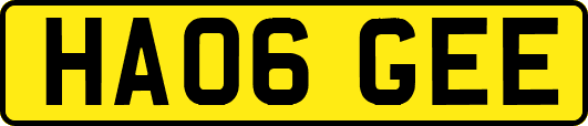 HA06GEE
