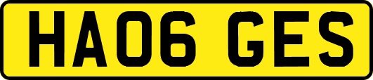 HA06GES