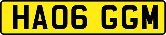 HA06GGM