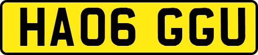 HA06GGU