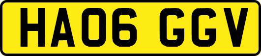 HA06GGV