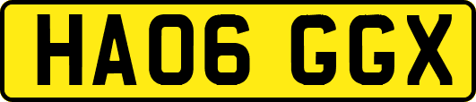 HA06GGX