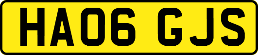 HA06GJS