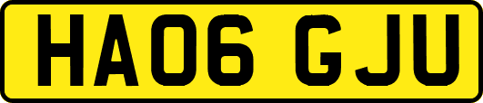 HA06GJU