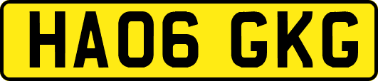 HA06GKG