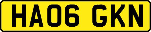 HA06GKN