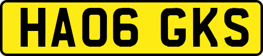 HA06GKS