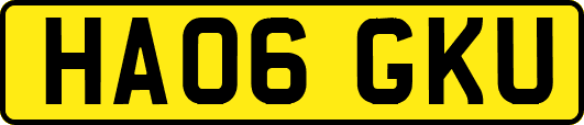 HA06GKU