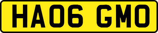 HA06GMO
