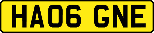 HA06GNE