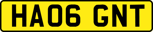 HA06GNT