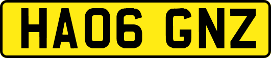 HA06GNZ